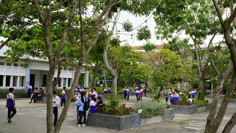 cá cược thể thao hul city